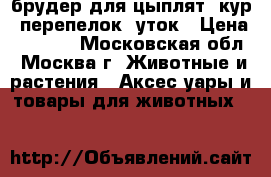 брудер для цыплят, кур, перепелок, уток › Цена ­ 5 000 - Московская обл., Москва г. Животные и растения » Аксесcуары и товары для животных   